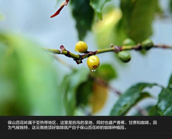 兄弟同行 2200公里全路况滇西自驾旅行