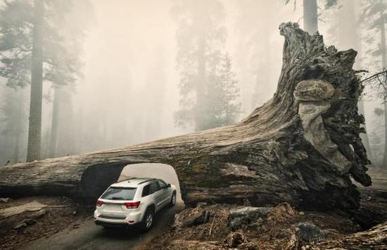 自驾路上的奇特风景 世界10条最美隧道