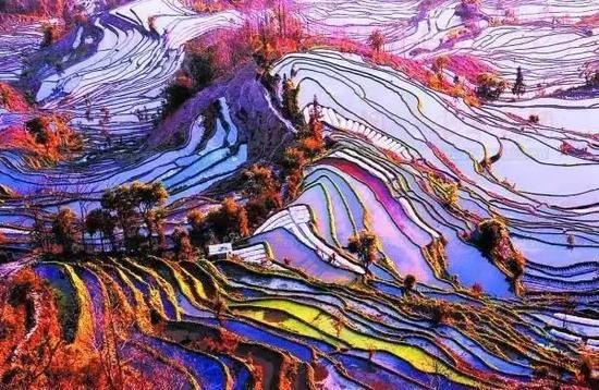 2月份一定要和恋人自驾去云南的这些地方