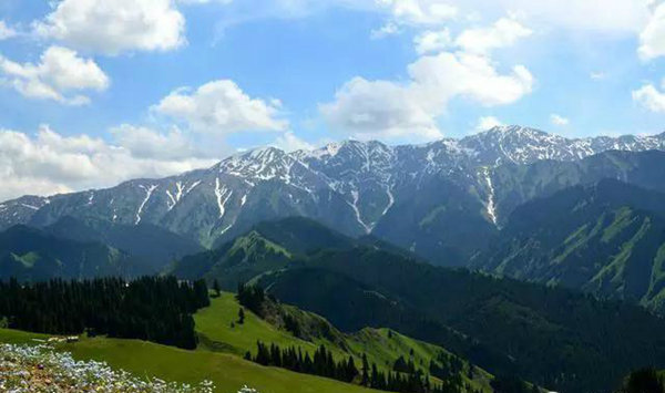 赛果高速,一条美到你心碎的自驾路!