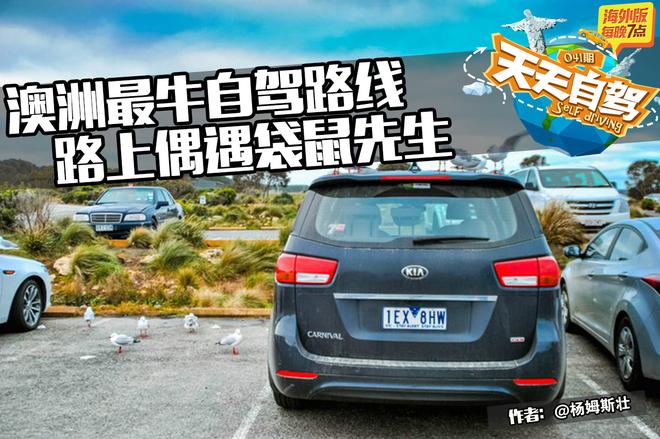 自驾|澳洲最牛自驾路线 与袋鼠先生在路上