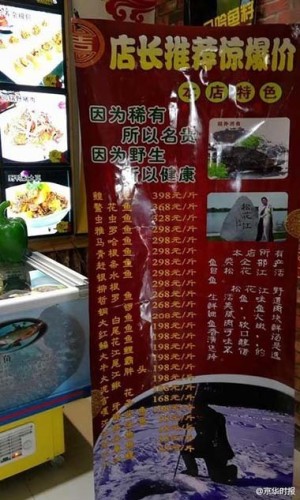 吃个鱼花一万?自驾远离哈尔滨野生鱼村