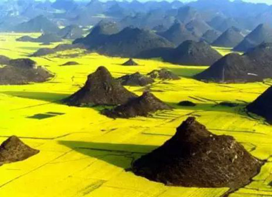 二月自驾推荐地 亮瞎了全世界眼球的罗平