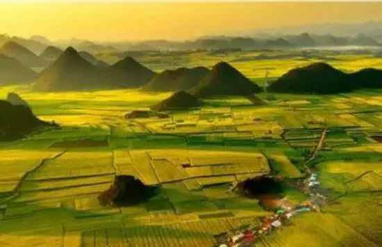 二月自驾推荐地 亮瞎了全世界眼球的罗平