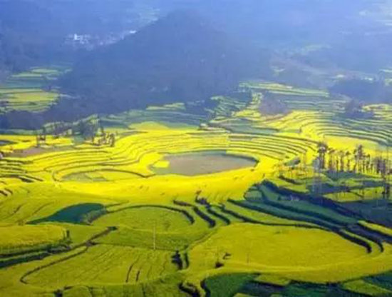 二月自驾推荐地 亮瞎了全世界眼球的罗平