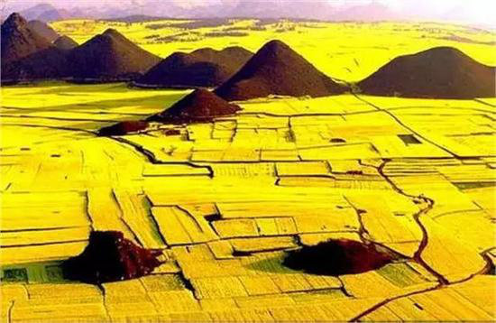 二月自驾推荐地 亮瞎了全世界眼球的罗平