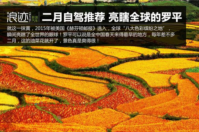 二月自驾推荐地 亮瞎了全世界眼球的罗平