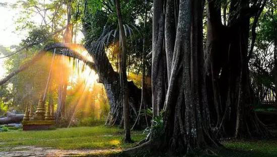 你去过几个?国内10大自驾旅行目的地宝典