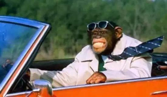 高能预警!小心这些奇葩驾照亮瞎你的眼!