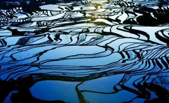 花海、古镇 春天国内最美的自驾游的地方!