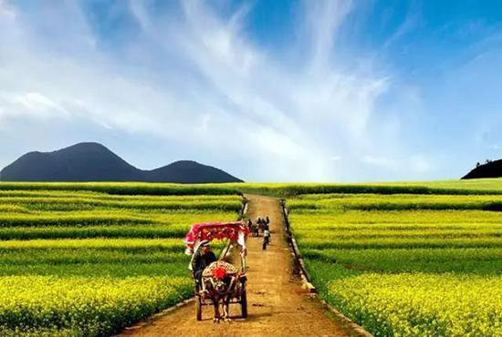 花海、古镇 春天国内最美的自驾游的地方!