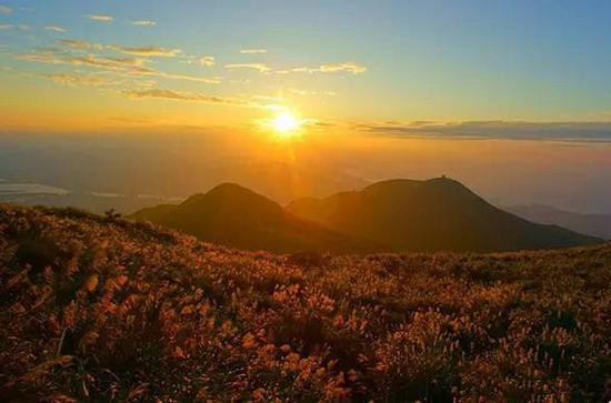 花海、古镇 春天国内最美的自驾游的地方!