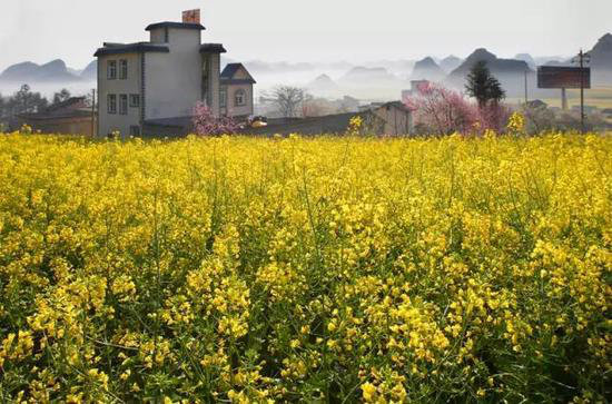 花海、古镇 春天国内最美的自驾游的地方!