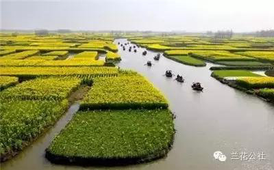 春天来了!3月全国最美自驾油菜花地推荐