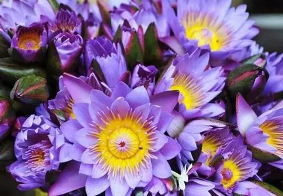 3月最佳自驾旅行地,99%的人都去错了!