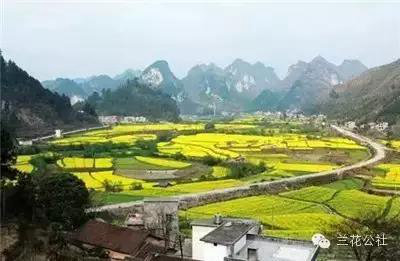 春天来了!3月全国最美自驾油菜花地推荐