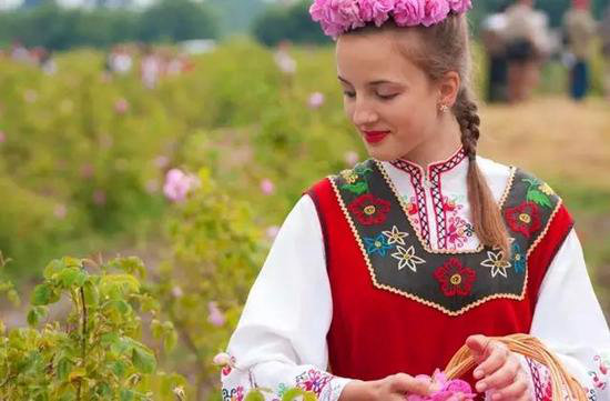 自驾美丽超乎你想象的世界十大赏花仙境