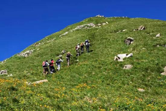 中国十大花海3月相继绽放 自驾去赏花吧!