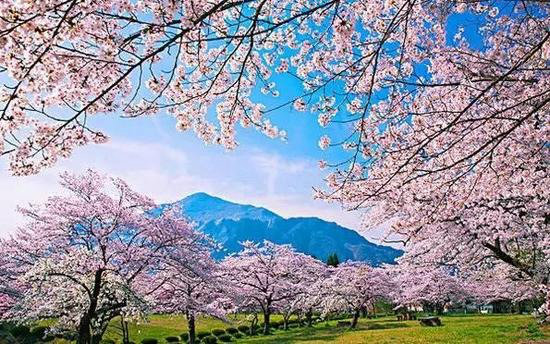 3月最佳自驾旅行地,99%的人都去错了!