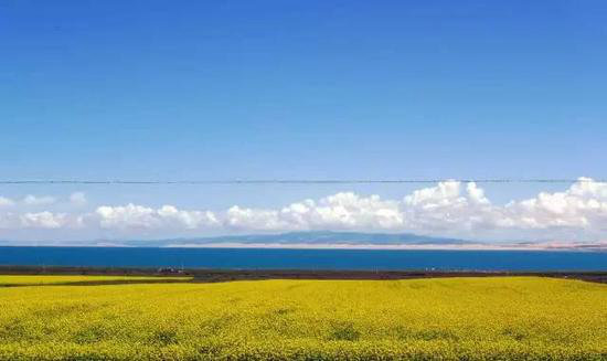 中国十大花海3月相继绽放 自驾去赏花吧!