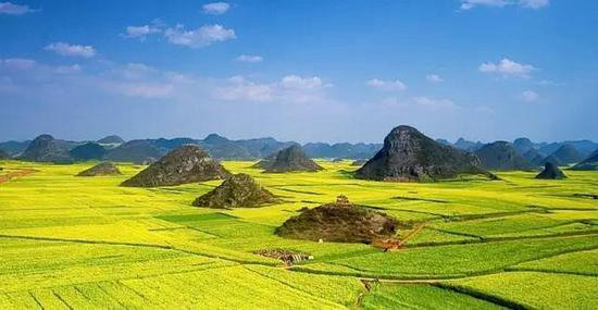 自驾美丽超乎你想象的世界十大赏花仙境