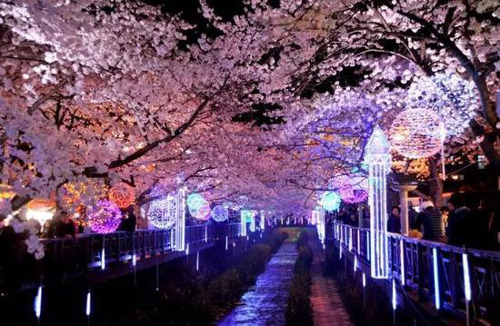 自驾美丽超乎你想象的世界十大赏花仙境