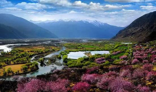 中国十大花海3月相继绽放 自驾去赏花吧!