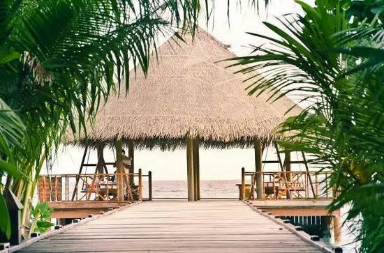 3月最佳自驾旅行地,99%的人都去错了!