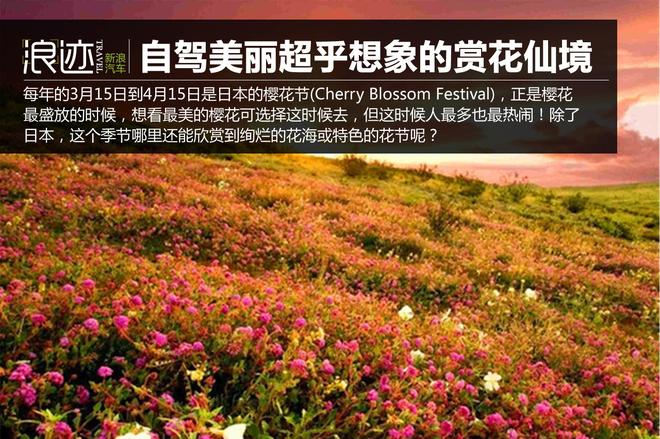 自驾美丽超乎你想象的世界十大赏花仙境