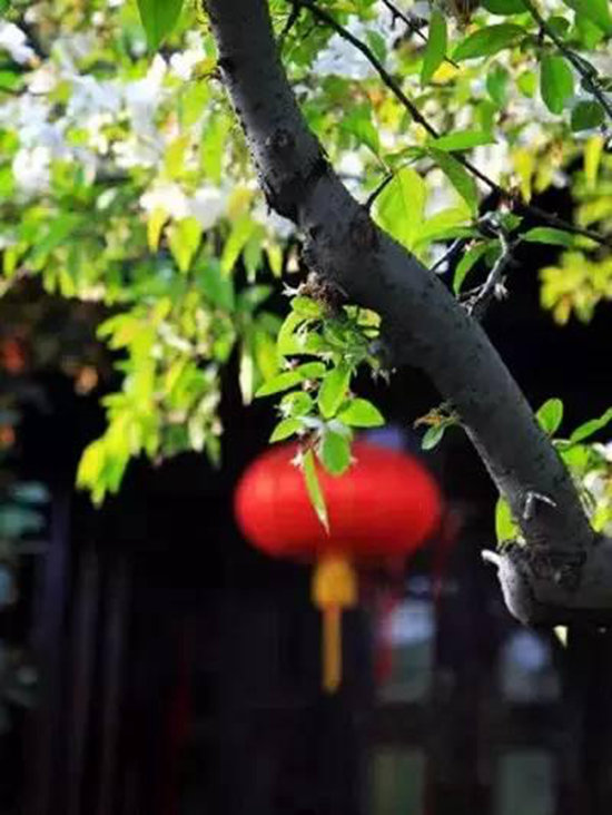 3月最佳自驾旅行地,99%的人都去错了!