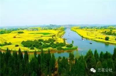 春天来了!3月全国最美自驾油菜花地推荐