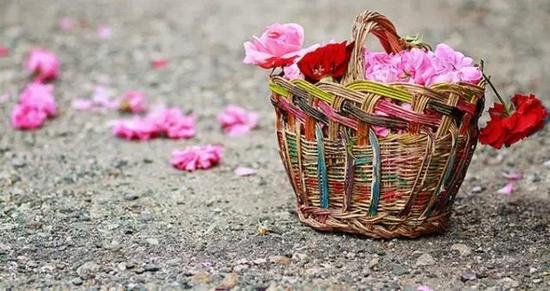 自驾美丽超乎你想象的世界十大赏花仙境