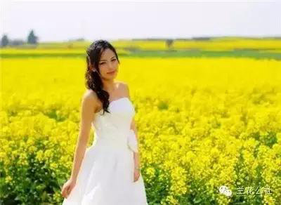 春天来了!3月全国最美自驾油菜花地推荐