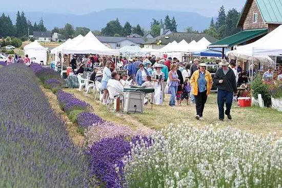 自驾美丽超乎你想象的世界十大赏花仙境