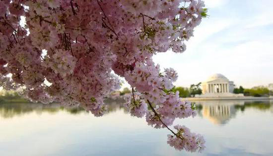 自驾美丽超乎你想象的世界十大赏花仙境