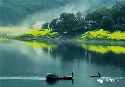 春天来了!3月全国最美自驾油菜花地推荐