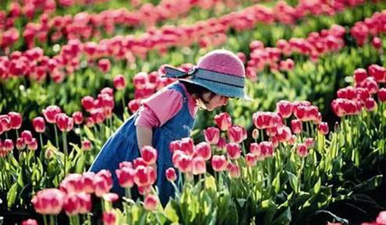 3月最佳自驾旅行地,99%的人都去错了!