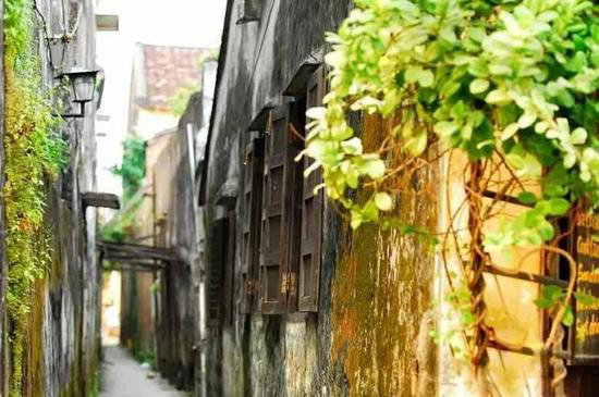 3月最佳自驾旅行地,99%的人都去错了!