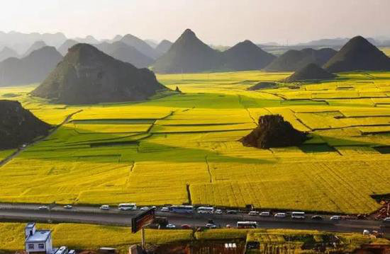 中国十大花海3月相继绽放 自驾去赏花吧!