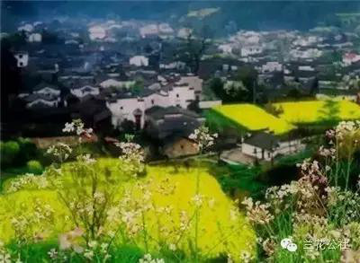 春天来了!3月全国最美自驾油菜花地推荐