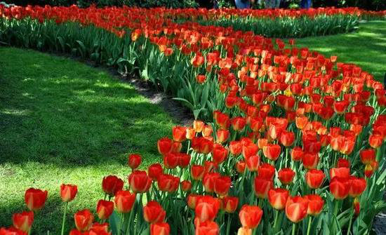 3月最佳自驾旅行地,99%的人都去错了!