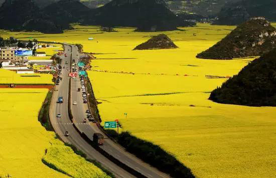 自驾美丽超乎你想象的世界十大赏花仙境