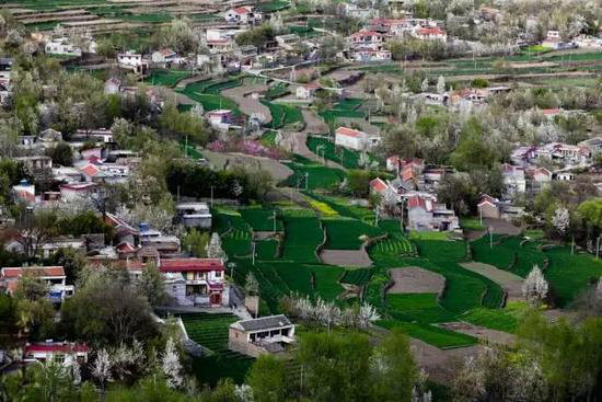 中国十大花海3月相继绽放 自驾去赏花吧!