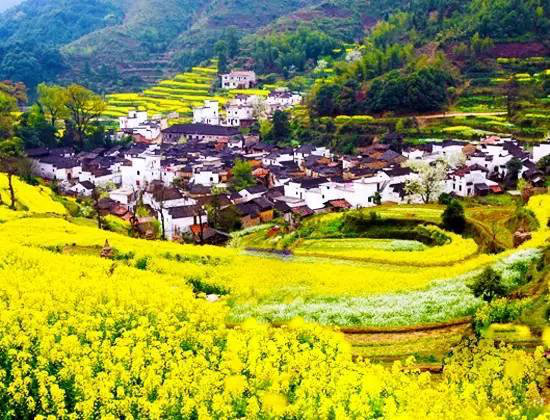 3月最佳自驾旅行地,99%的人都去错了!