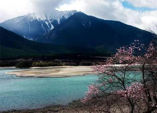 3月最佳自驾旅行地,99%的人都去错了!