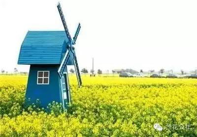 春天来了!3月全国最美自驾油菜花地推荐