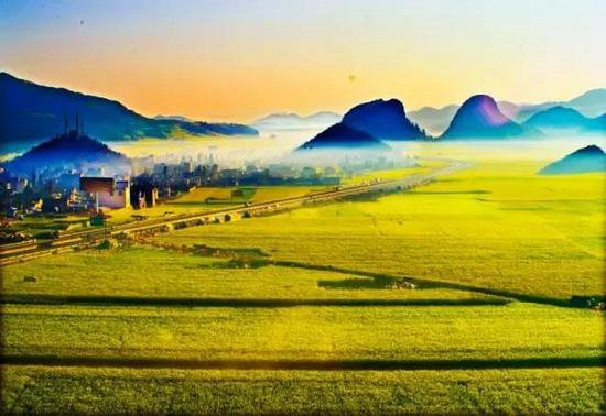 中国十大花海3月相继绽放 自驾去赏花吧!