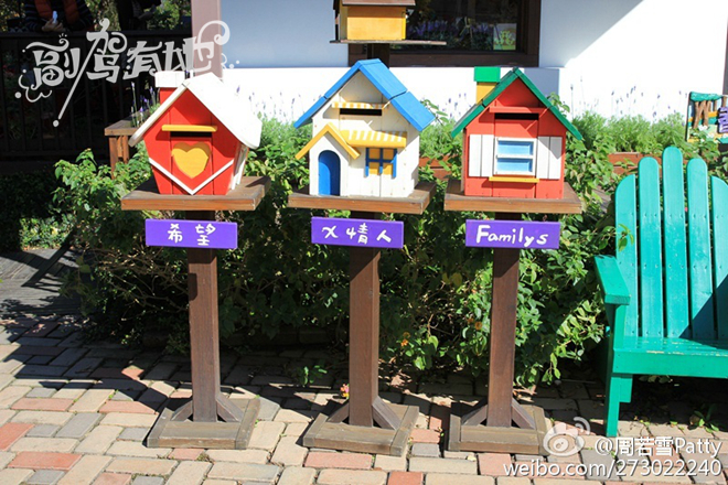 甜美女生游台中 拍摄写真是重点!