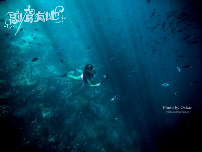 沙滩上的性感女神 海洋中的泳装美人鱼