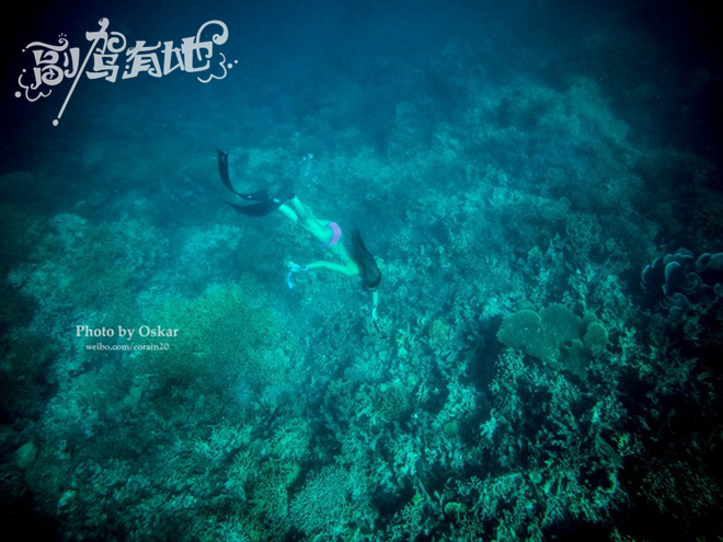 沙滩上的性感女神 海洋中的泳装美人鱼